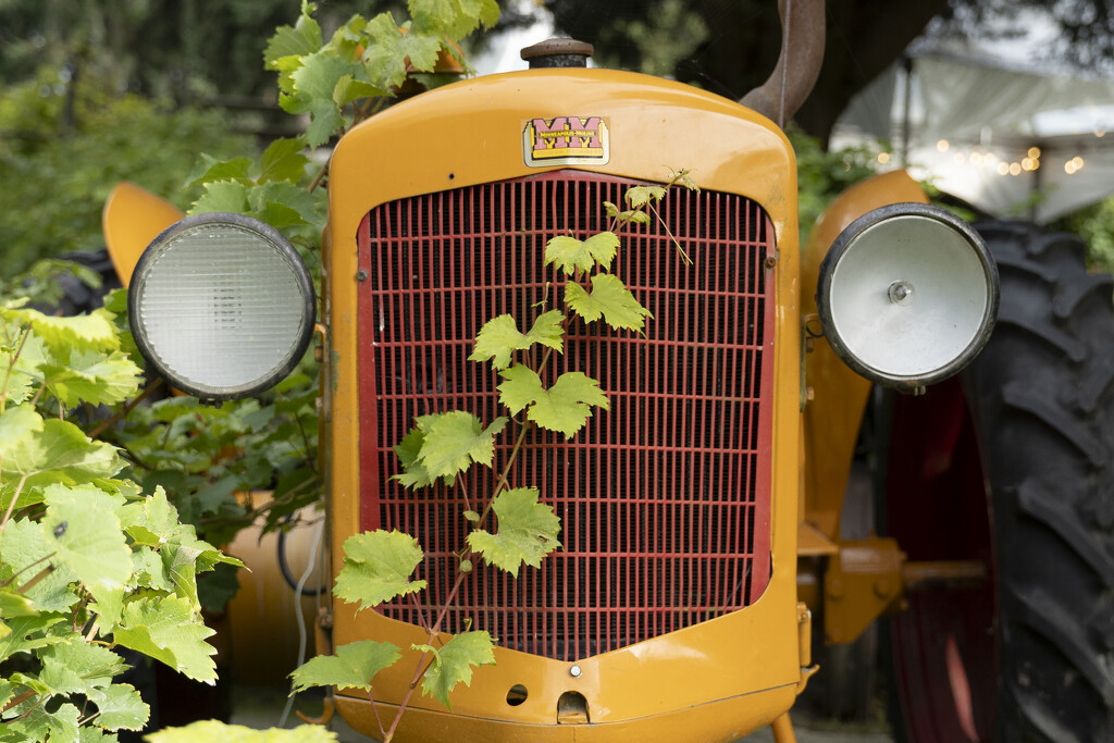 Minneapolis Moline Tractor by cdcook48