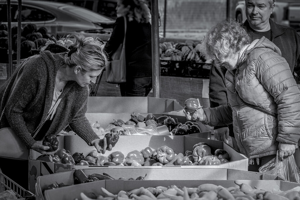 Shopping For Peppers by cdcook48