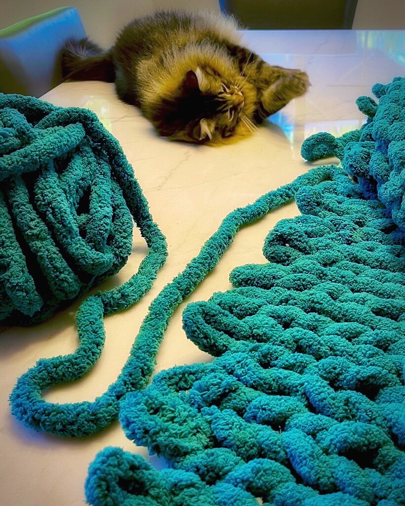 I Could Knit by gardenfolk