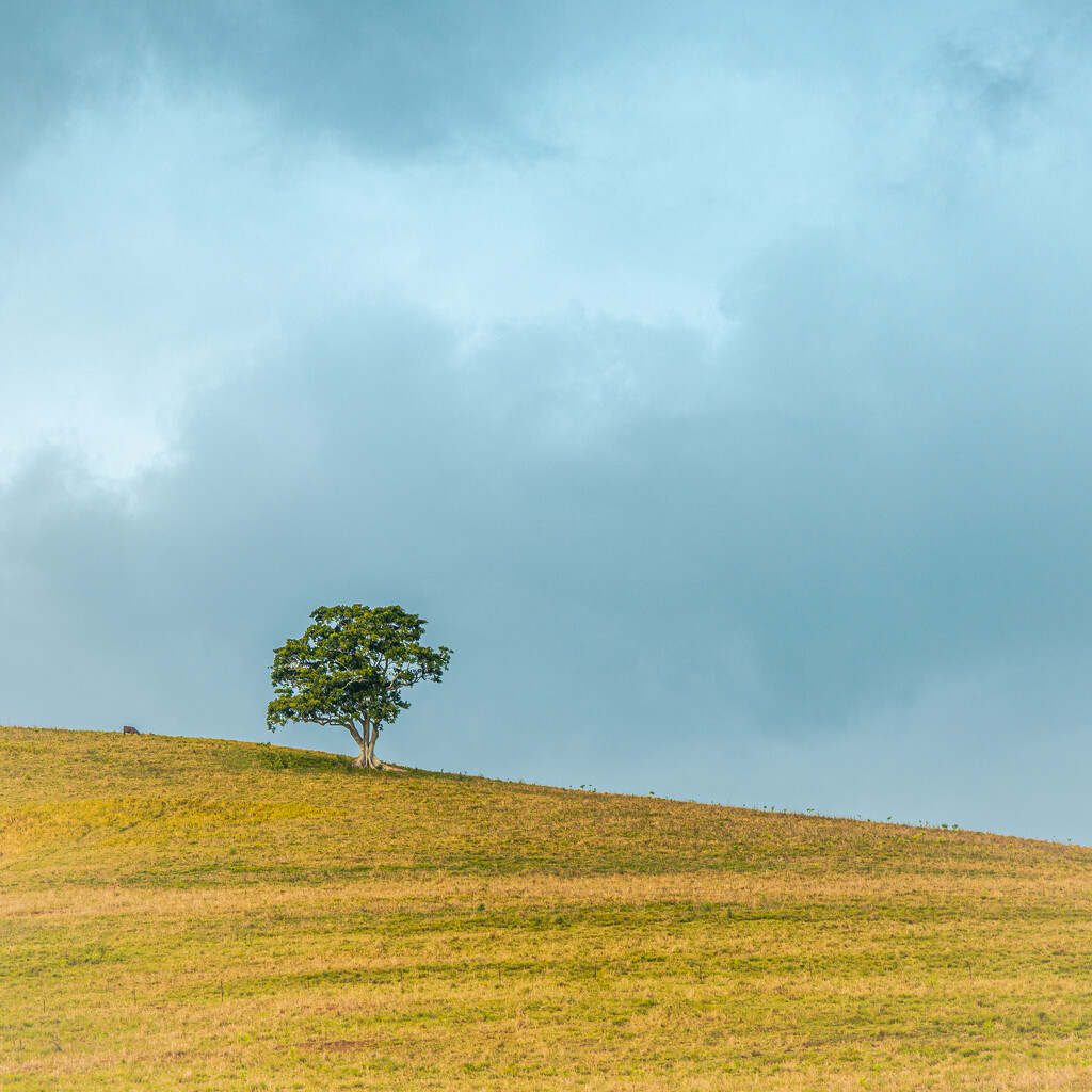 Storm Brewing by peterhamilton