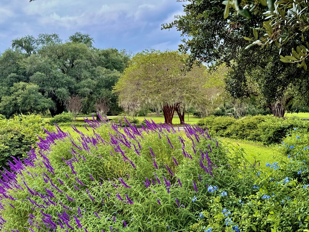 Early Fall at Hampton Park by congaree