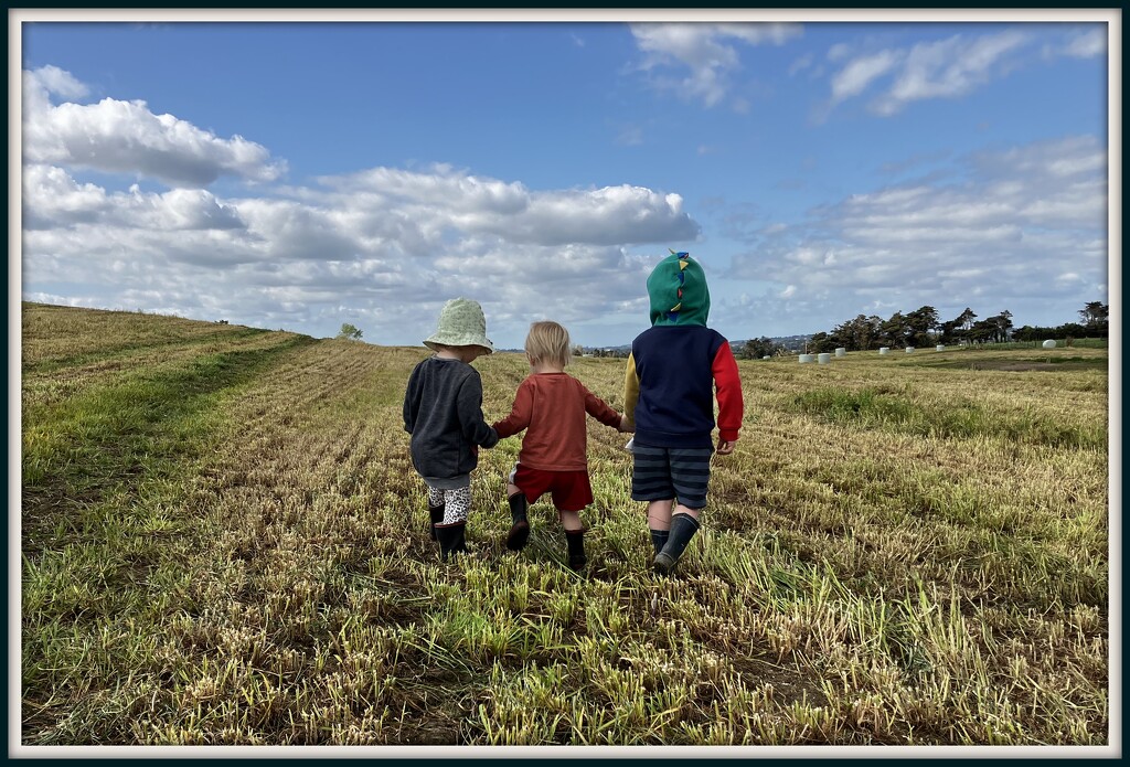 The Farm Kids  by dide