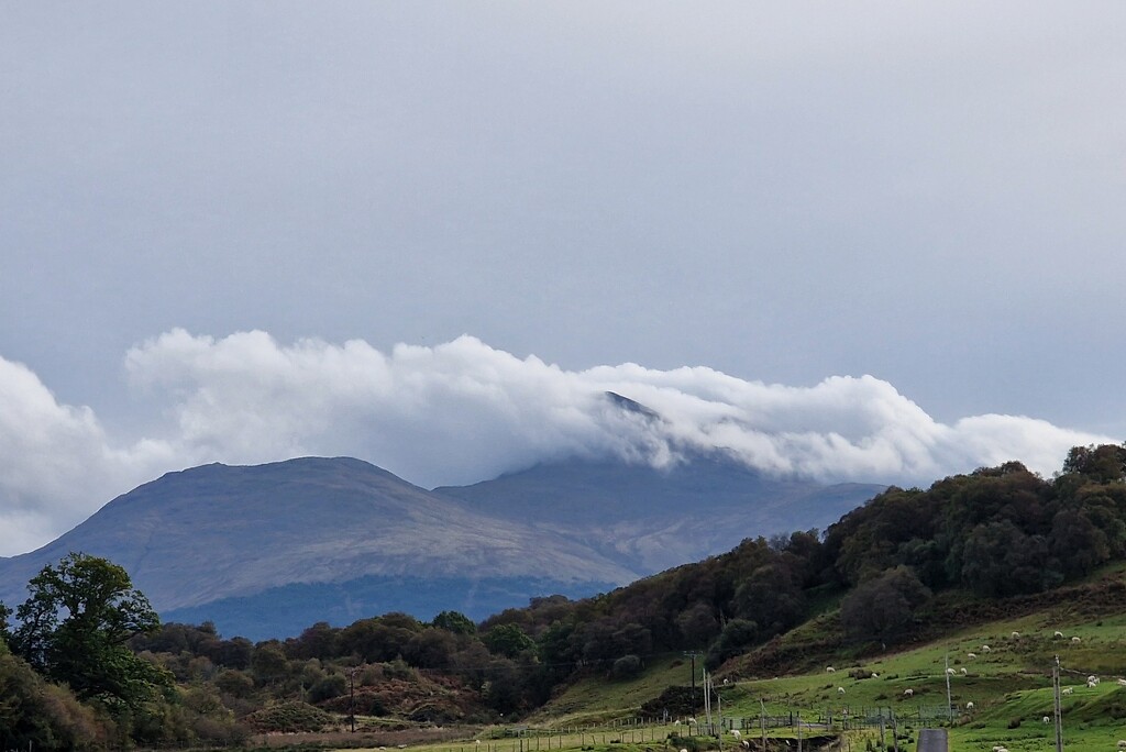 a hill in a hurry by christophercox