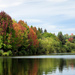 Green Lake Trees 