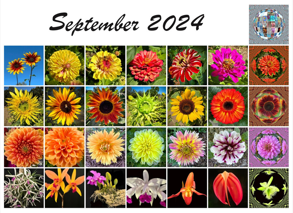 My September 2024 by shutterbug49