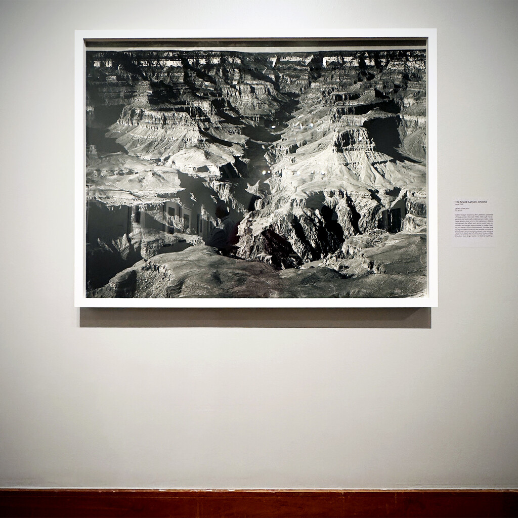 Ansel Adams At The CAM by yogiw