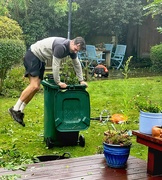 30th Sep 2024 - Attacking the Wisteria 