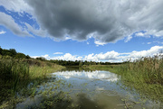 28th Sep 2024 - Could Stand A Little Rain