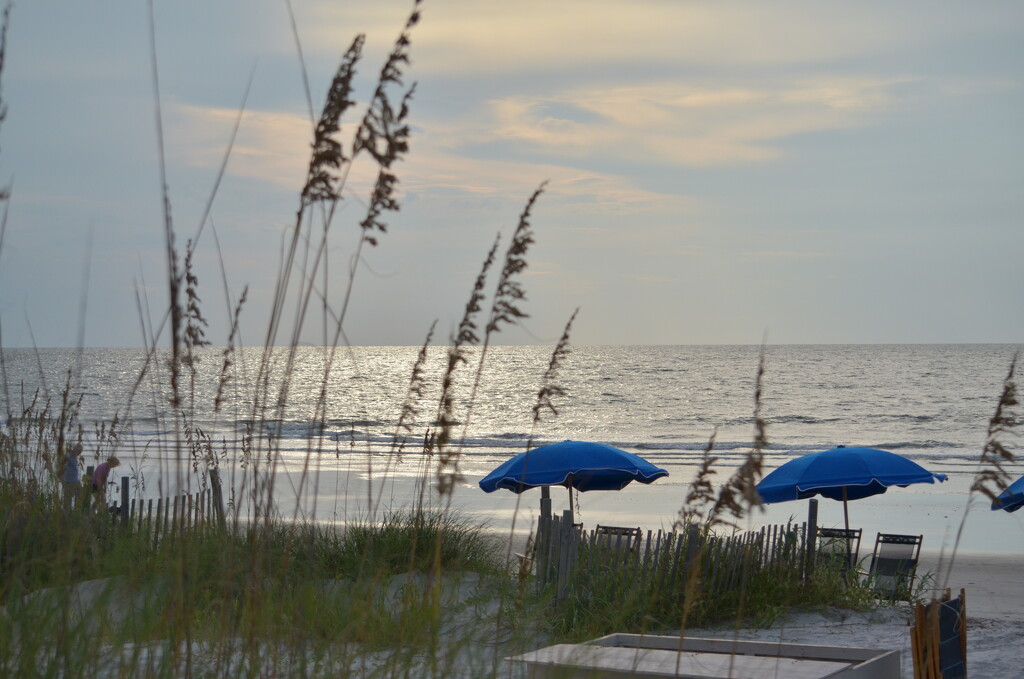 Beach Umbrellas  by pej76