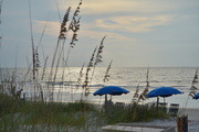 26th Sep 2024 - Beach Umbrellas 