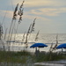 Beach Umbrellas 