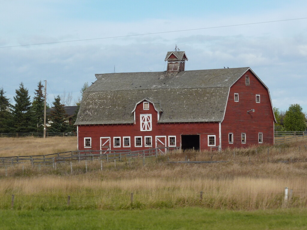 barn by anniesue