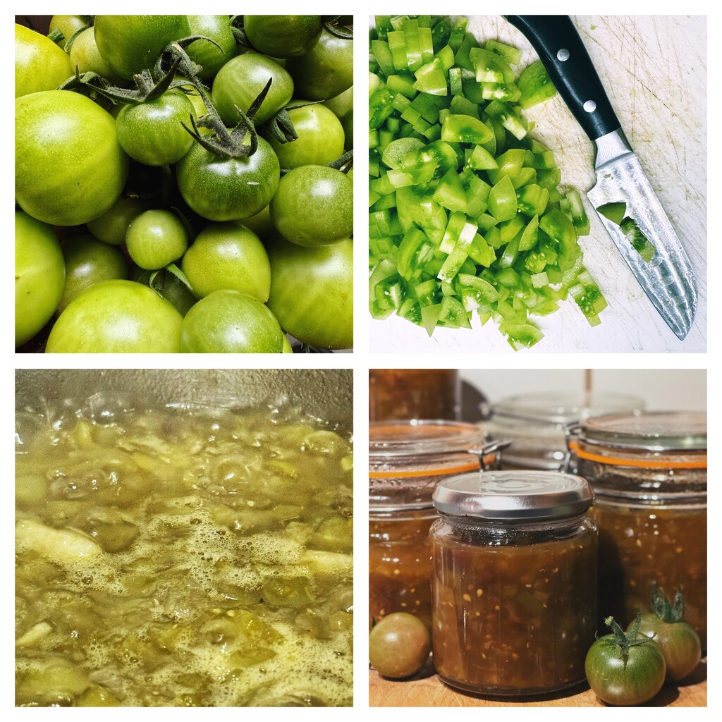 Green Tomato Chutney by anncooke76