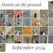 Heart on the ground.  by cocobella