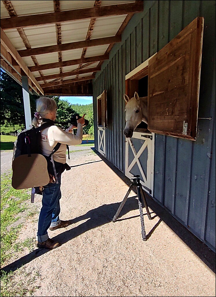 Photographer in Action by olivetreeann