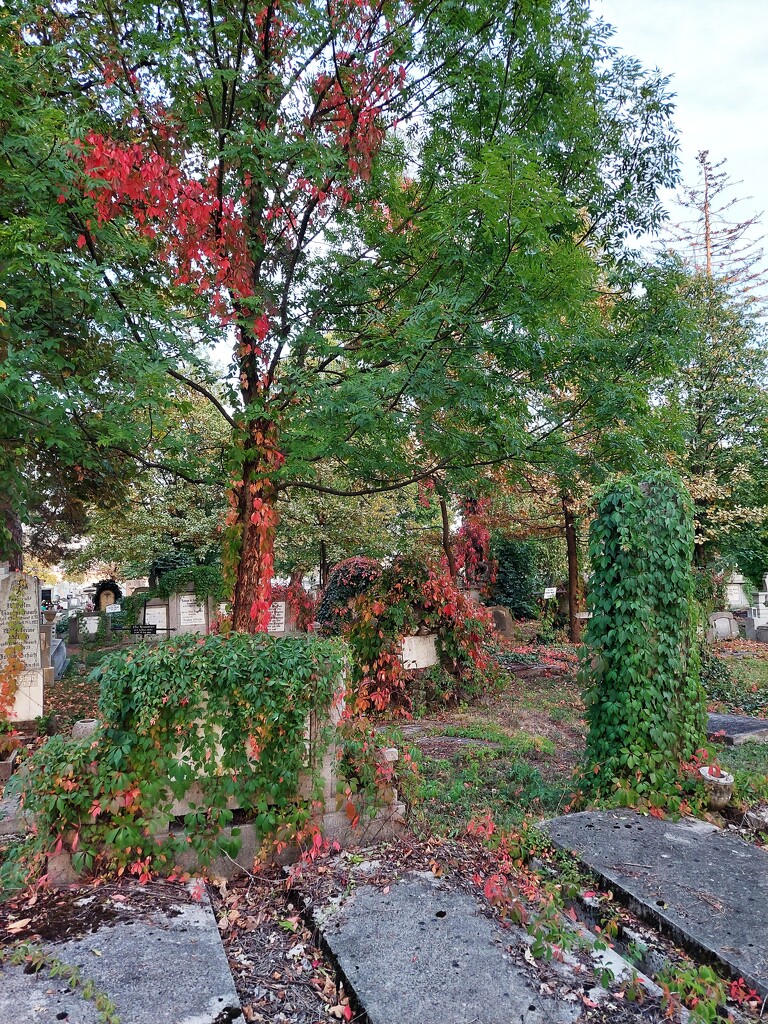 Colourful cemetery by monikozi