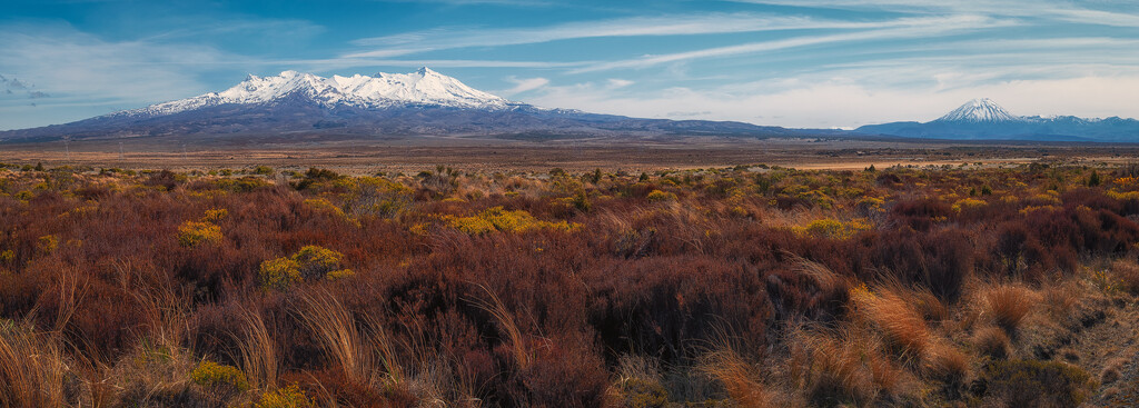 Desert Road Vista by helenw2