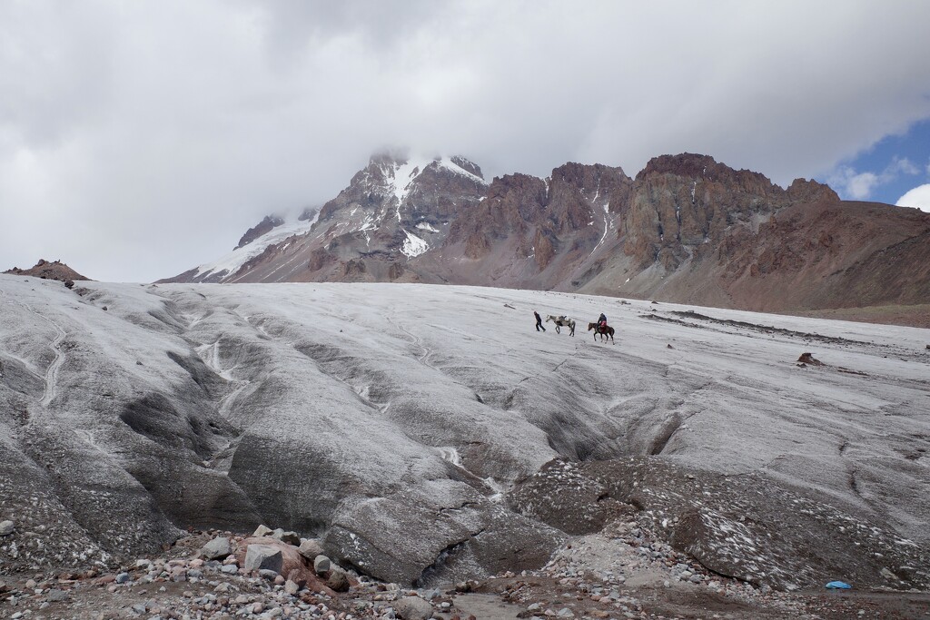 Horses on the glacier by vincent24