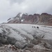 Horses on the glacier