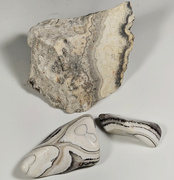 1st Oct 2024 - Black, white, and gray Crazy Lace Agate