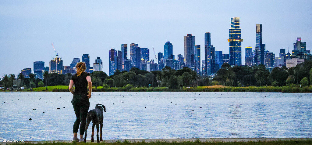 Evening Albert Park Lake, Melbourne by ankers70