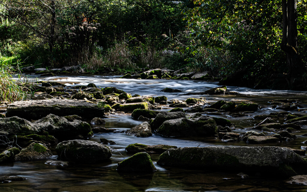 Ellicott Creek by darchibald