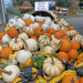 Gourds aplenty! 