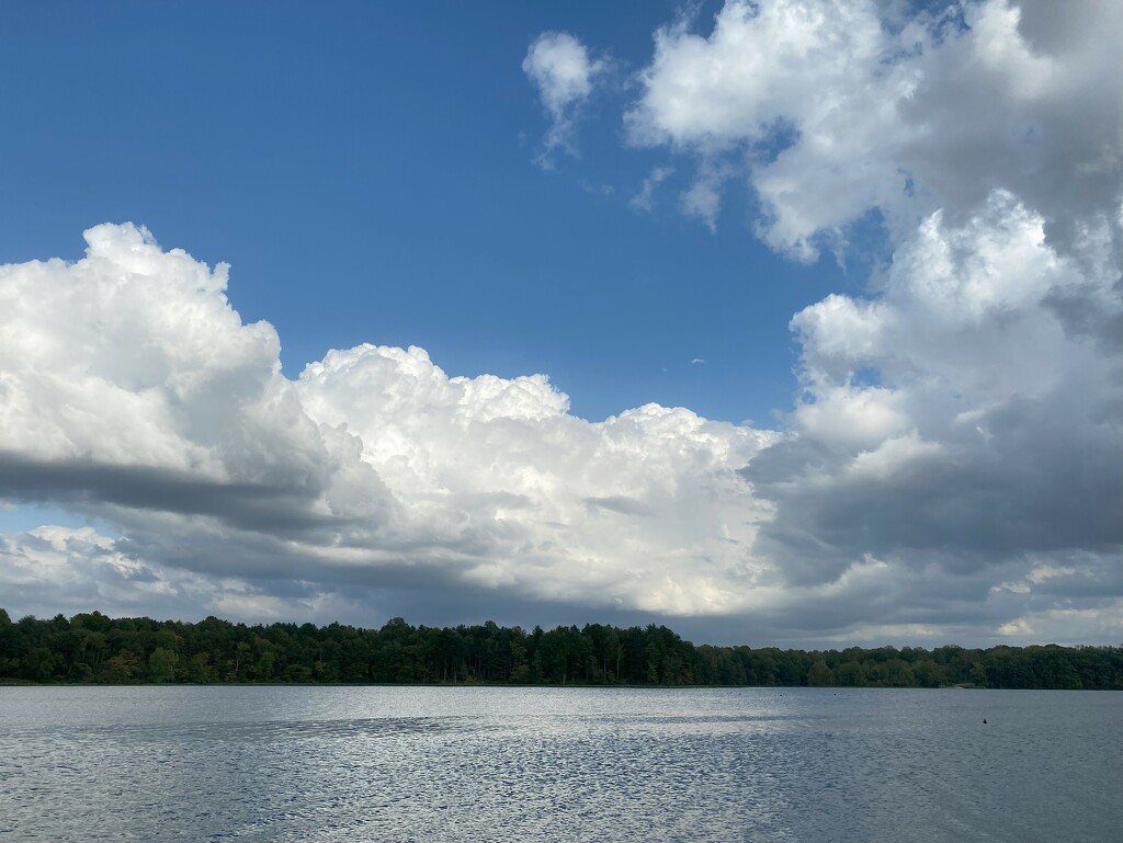 Glendale Fish and Game Preserve by tunia