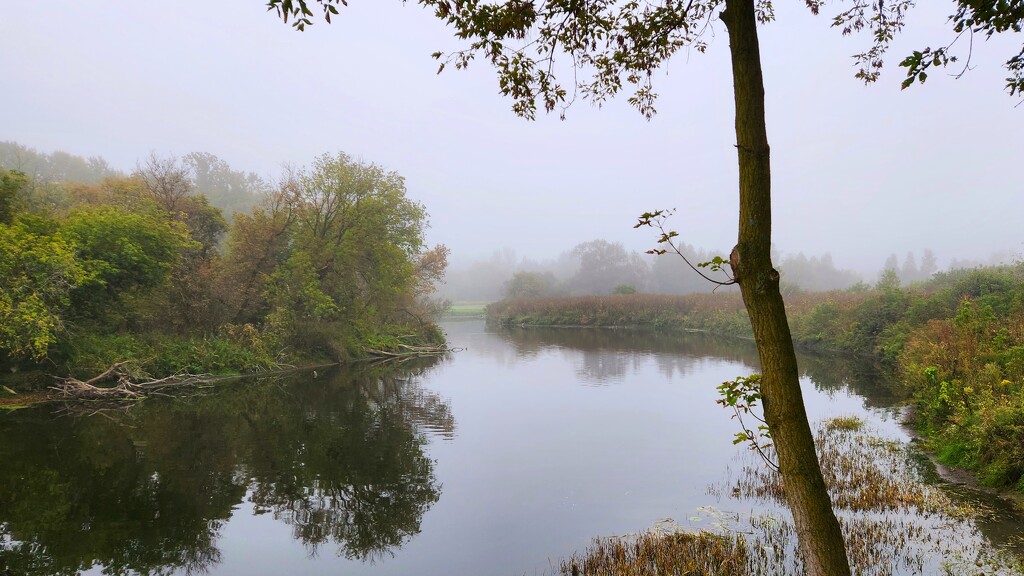 A soft and foggy morning by ljmanning