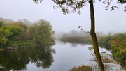 1st Oct 2024 - A soft and foggy morning