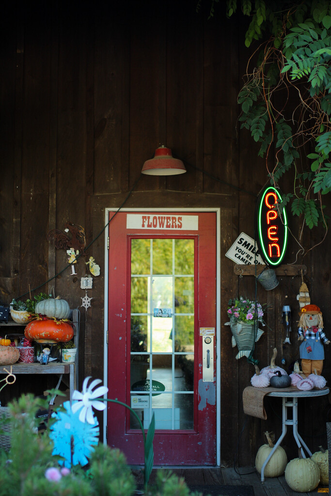 Farmers Daughter Storefront. by samuelsanderslicher