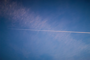 1st Oct 2024 - Jetstream