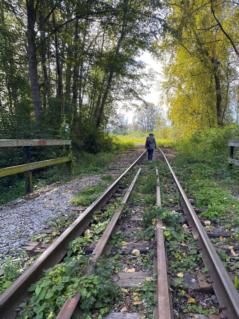 Along the Tracks by cdcook48