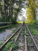 1st Oct 2024 - Along the Tracks