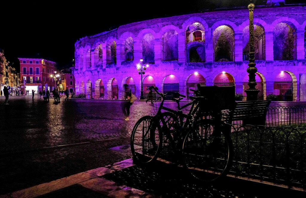 The pink Arena by caterina