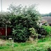 Garden Panorama