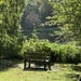 Bench with a view 