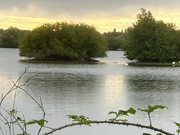 30th Sep 2024 - Water level's rising