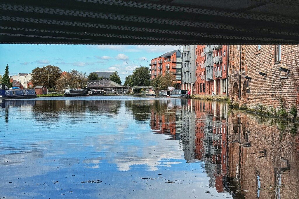 Under the bridge by anncooke76