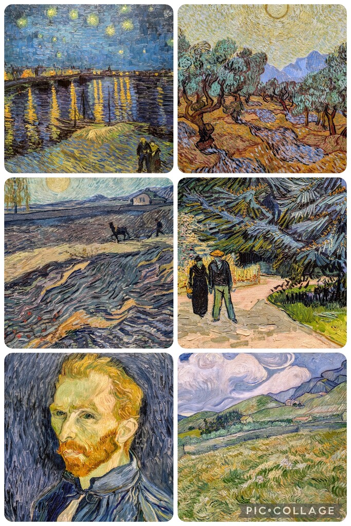 Van Gogh at the National Gallery by boxplayer