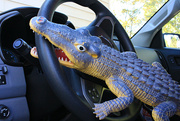 2nd Oct 2024 - Croctober 2 - Name Your Car