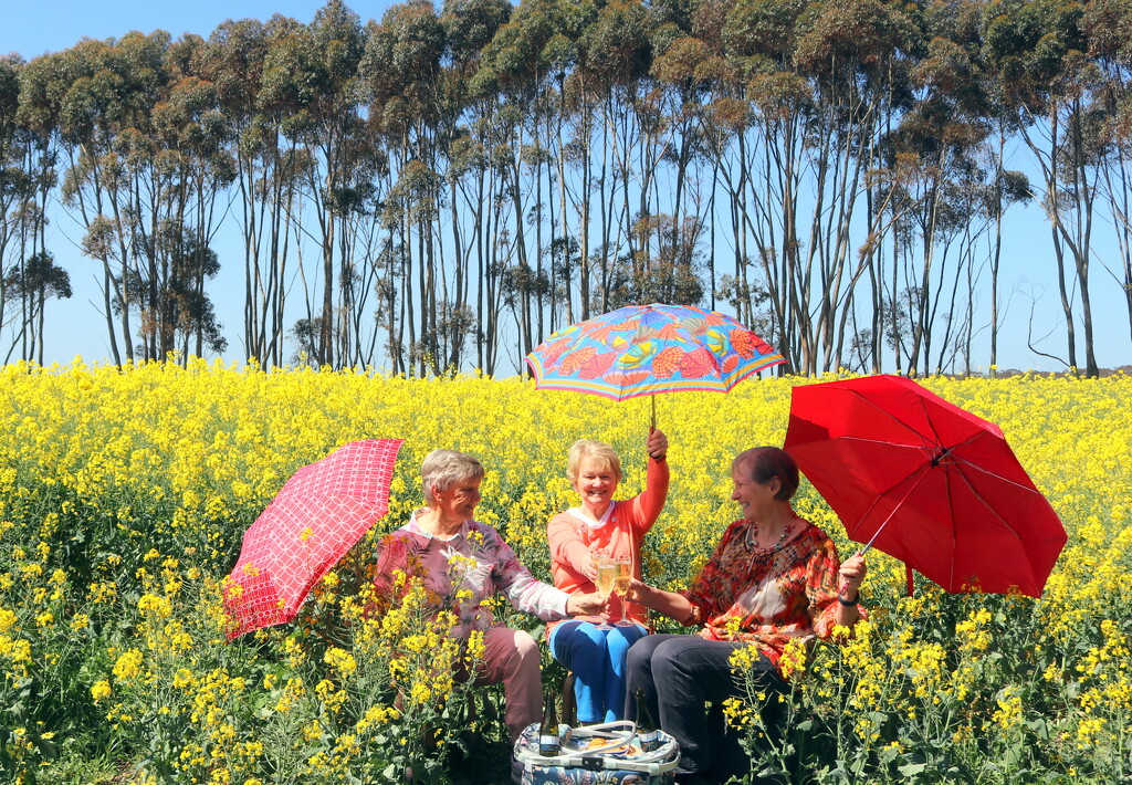 Roadside picnic by gilbertwood