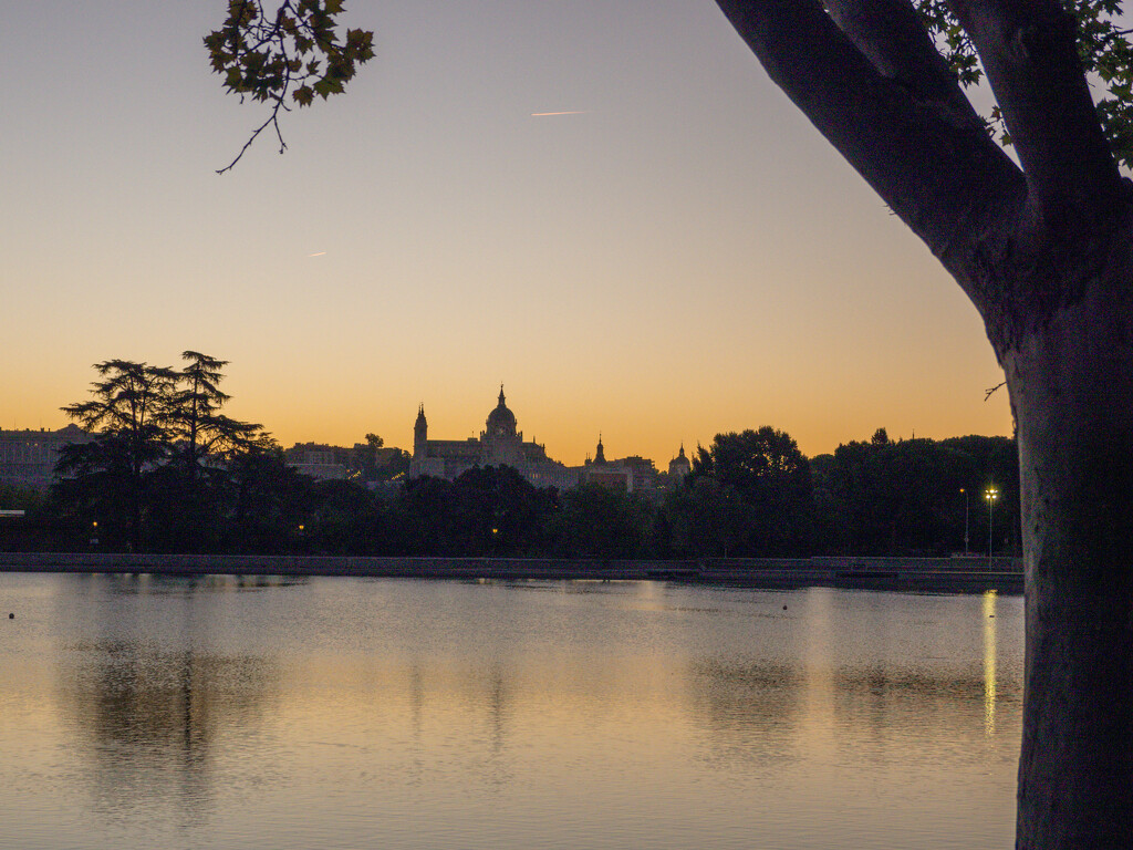 Sunrises are beautiful everywhere, this is taken in Campo de Caso park overlooking the lake in Madrid. by christinav