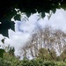 Leafy framed doorway 