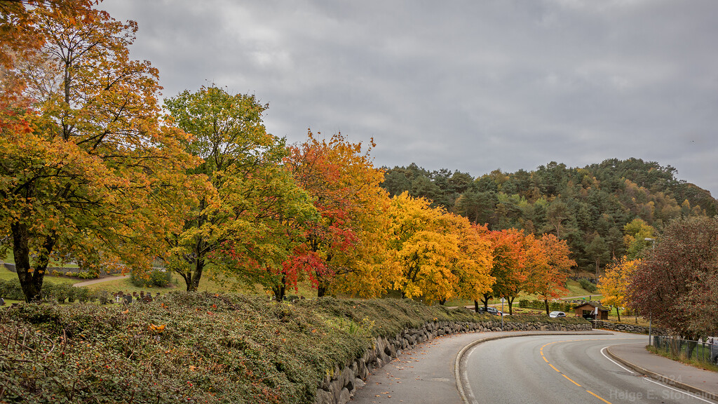 Autumn is here by helstor365