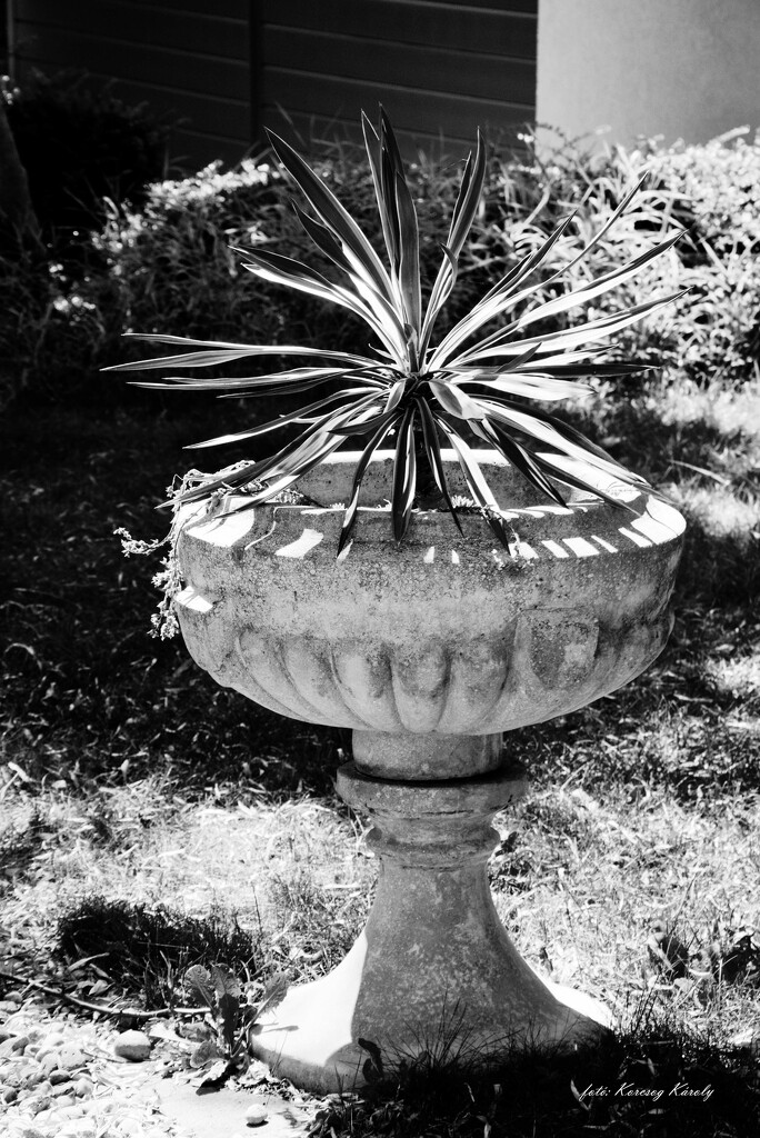 A flower holder on a Buda street by kork