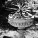 A flower holder on a Buda street