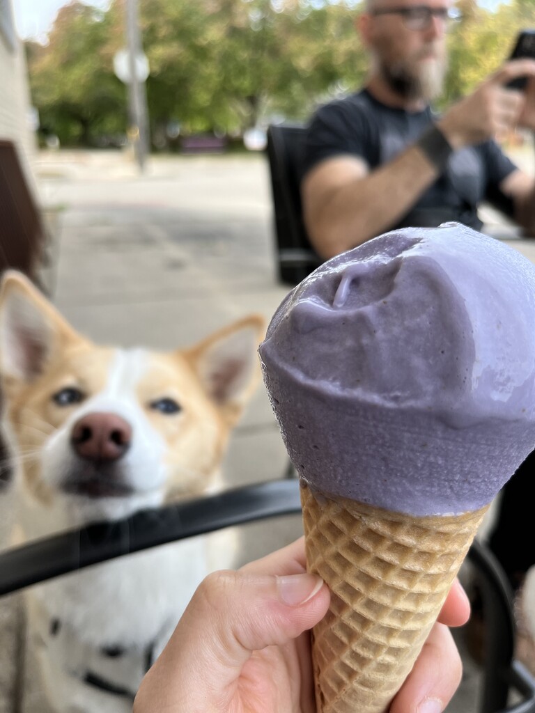 lavender oat milk ice cream  by annymalla