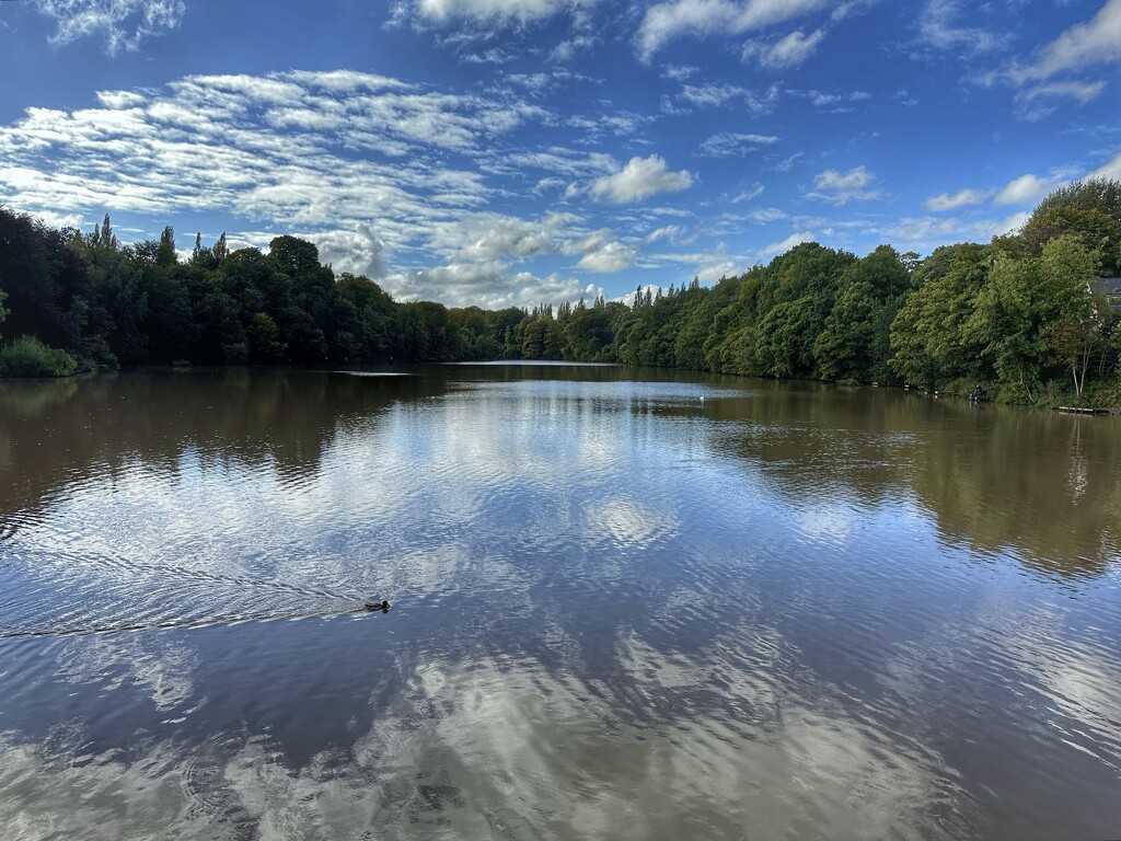 After the rains have gone  by wendystout