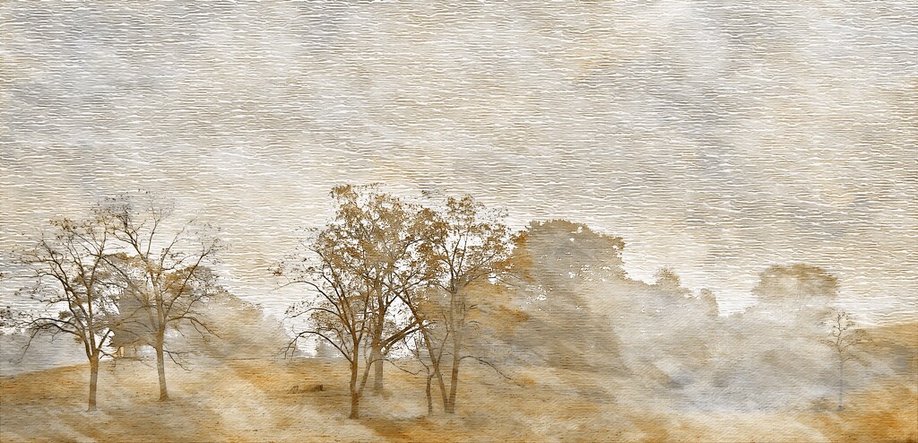 Trees With A Textured Touch  by digitalrn